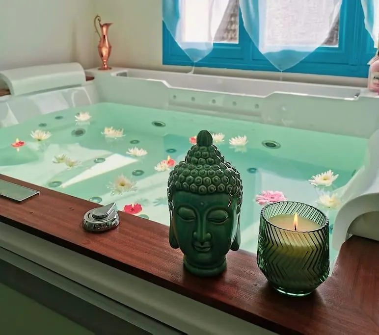 Sejour Romantique Et Zen Villa Cusset 0*,