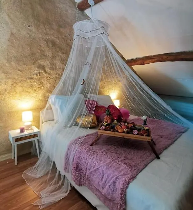 Cusset Sejour Romantique Et Zen 빌라 프랑스